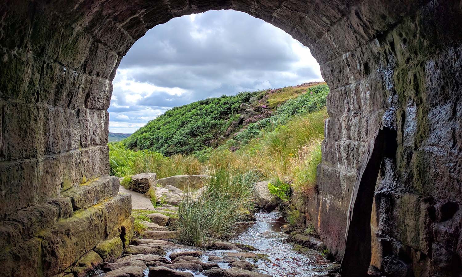 Openness and Privacy