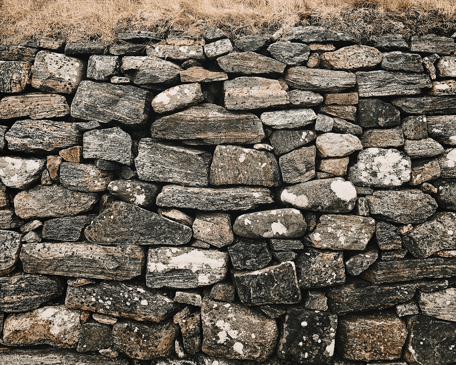 The Wall Between Body and Mind