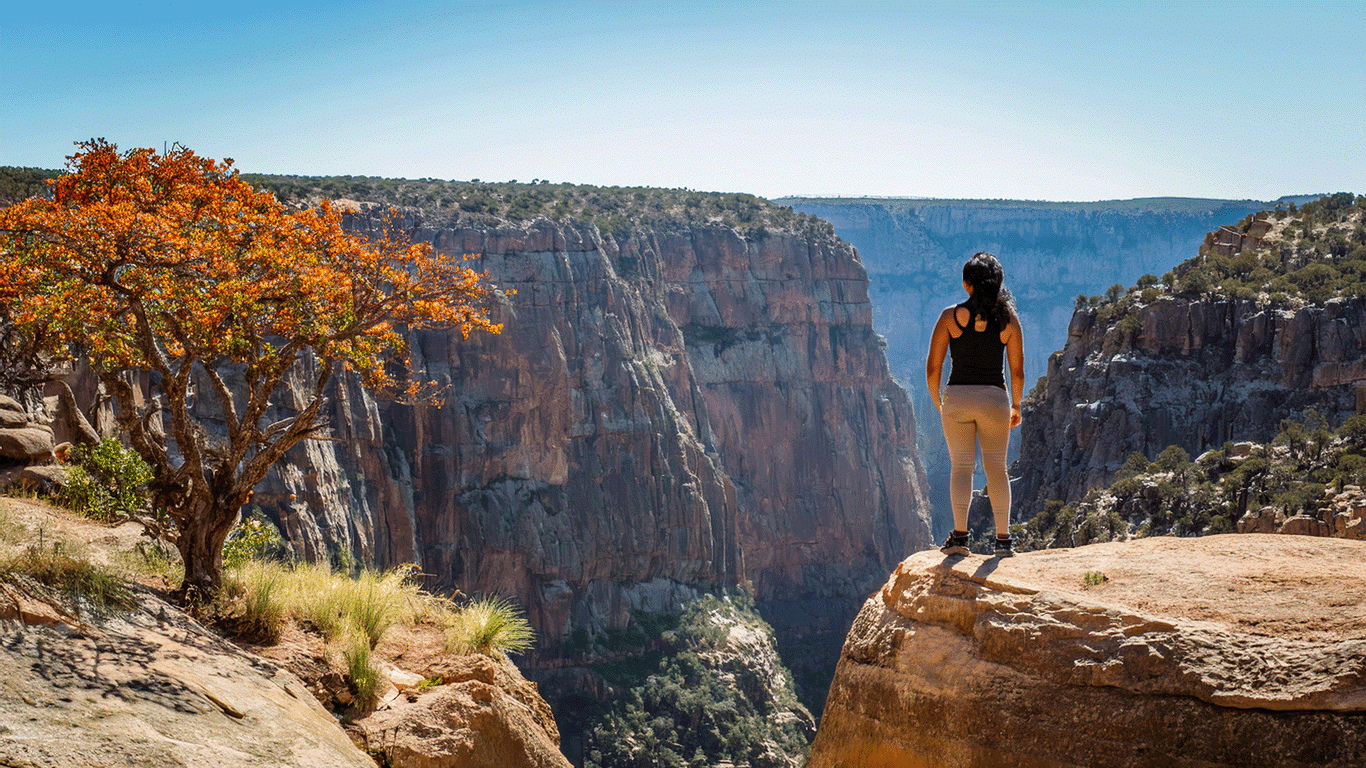 Your Overdue Step Screams for Your Courage
